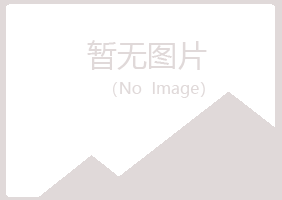 偃师牵手工程有限公司